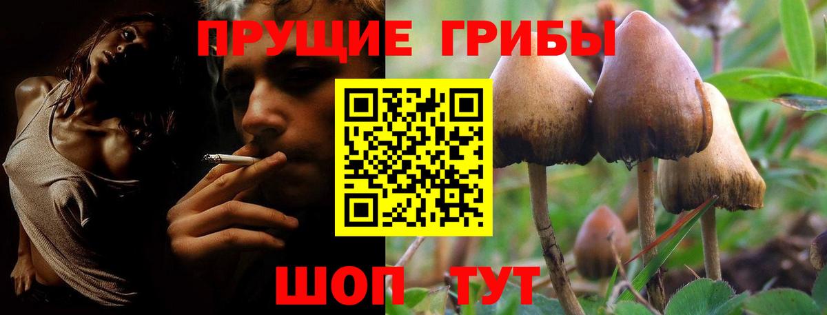 Псилоцибиновые грибы прущие грибы  Вход с VPN  Зерноград 